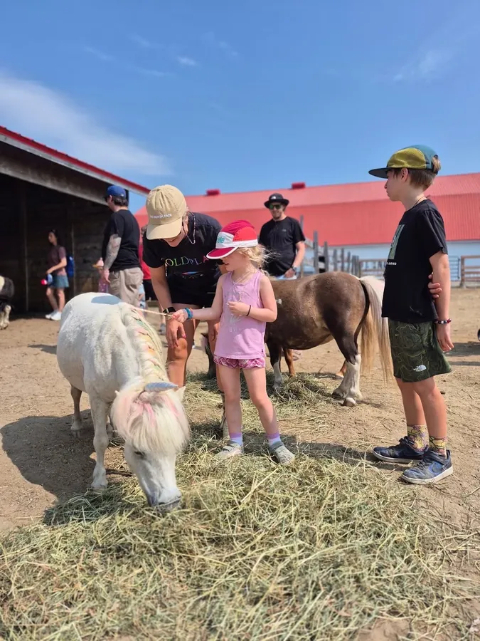 Une famille rencontre les chevaux miniatures