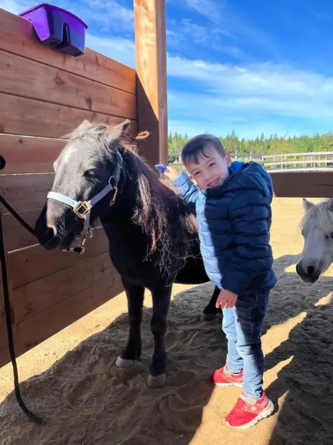 Un enfant et un cheval miniature au soleil
